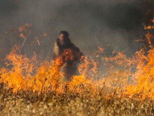 Kanadský hasič bojuje s požárem | Foto: Shutterstock