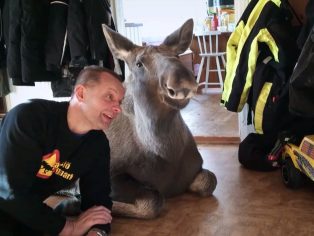 Záběr z dokumentu AMOOSED | Foto: MFDF Jihlava