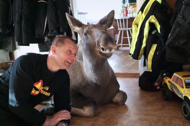 Záběr z dokumentu AMOOSED | Foto: MFDF Jihlava