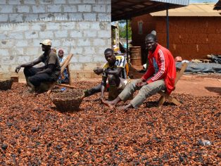 Farmáři suší kakaové boby v ivorijské vesnici | Foto: Filip Brychta / Voxpot
